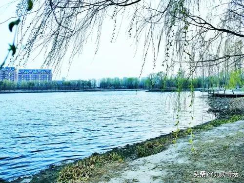 小说续写文案,小说续集第二部