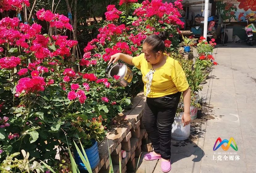 变废为宝！上*党**区王彩琴用一把剪刀化平凡为艺术
