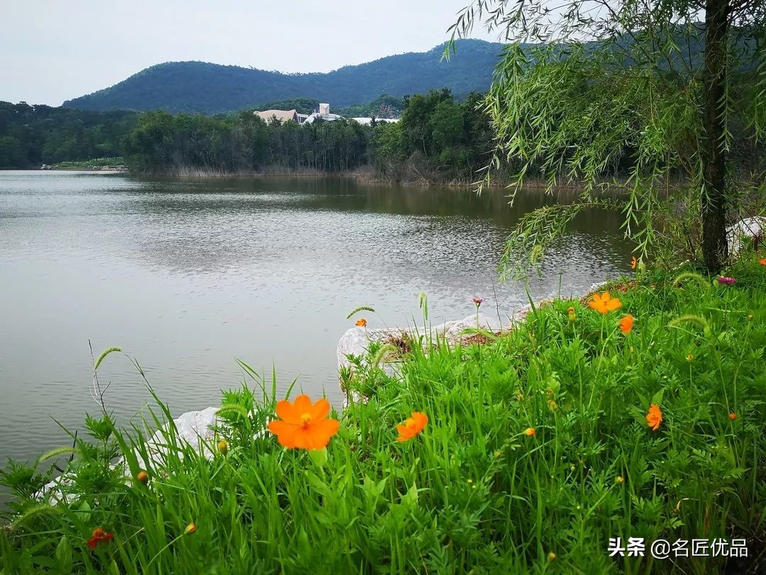 杨金荣红木大师,杨金荣红木工艺