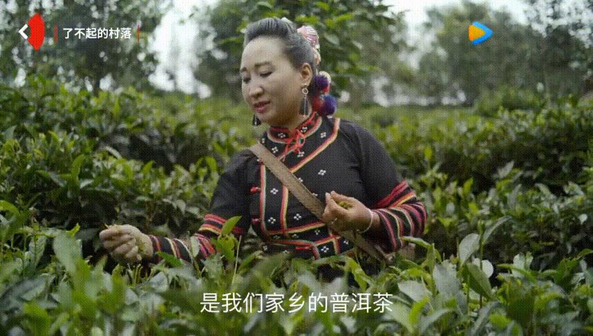 被烧之前的云南翁丁原始部落,我国最古老的村庄被烧毁