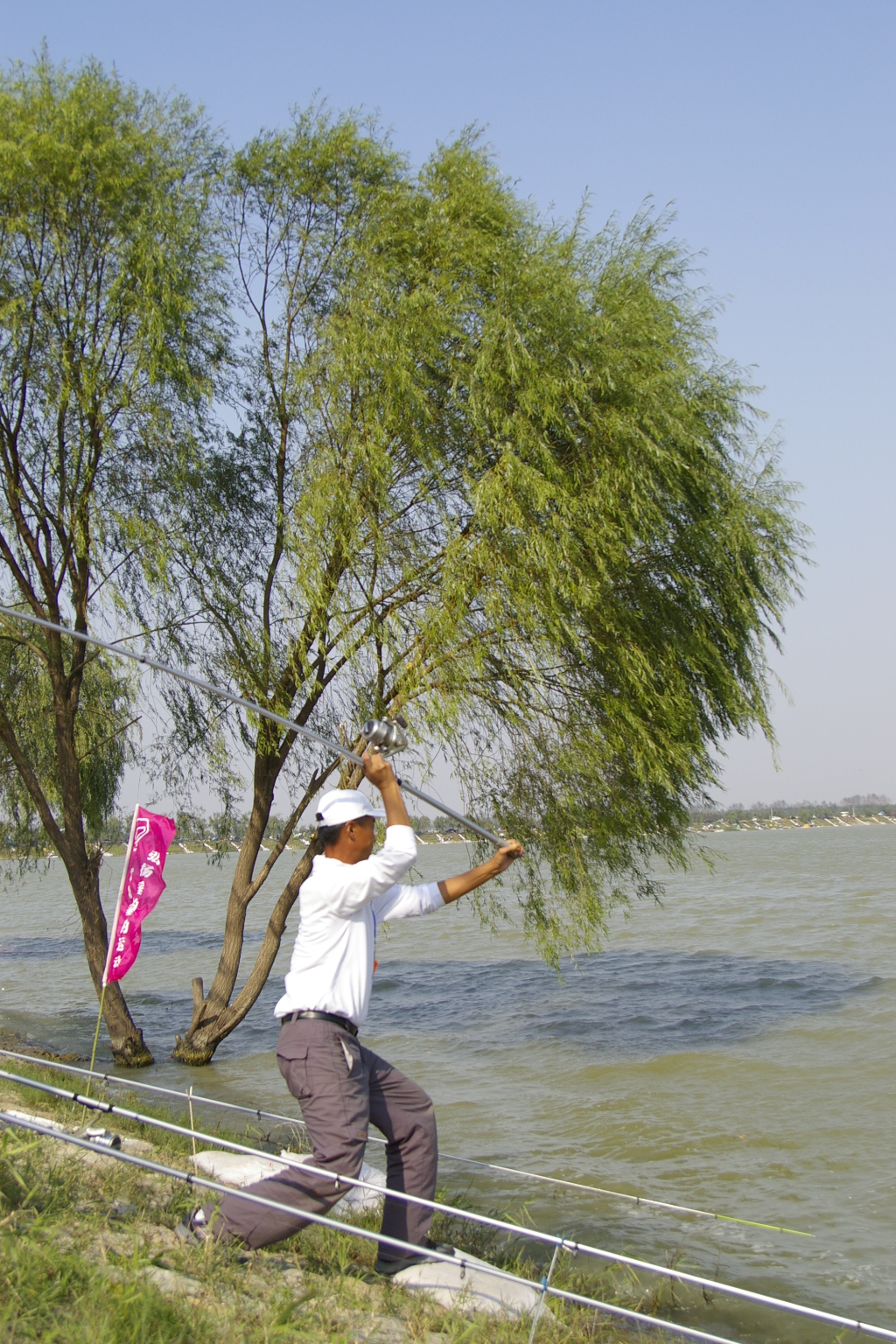 钓了这么多年鱼发现还是抛竿用着得劲儿，我竟然划分出了17种……