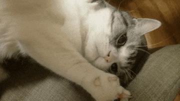 男子被车撞出3米求生欲,求生欲创造奇迹男子被撞