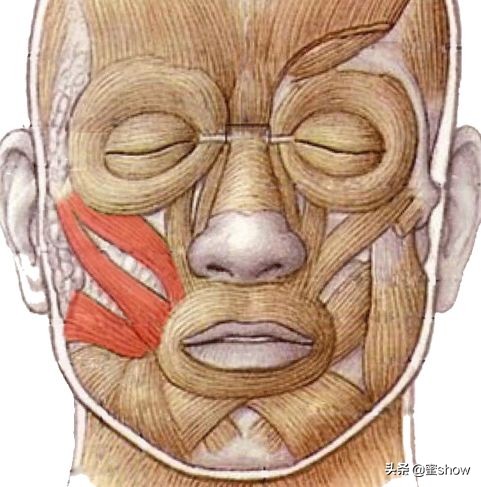 42岁冻龄女星光彩夺目,40岁冻龄女星