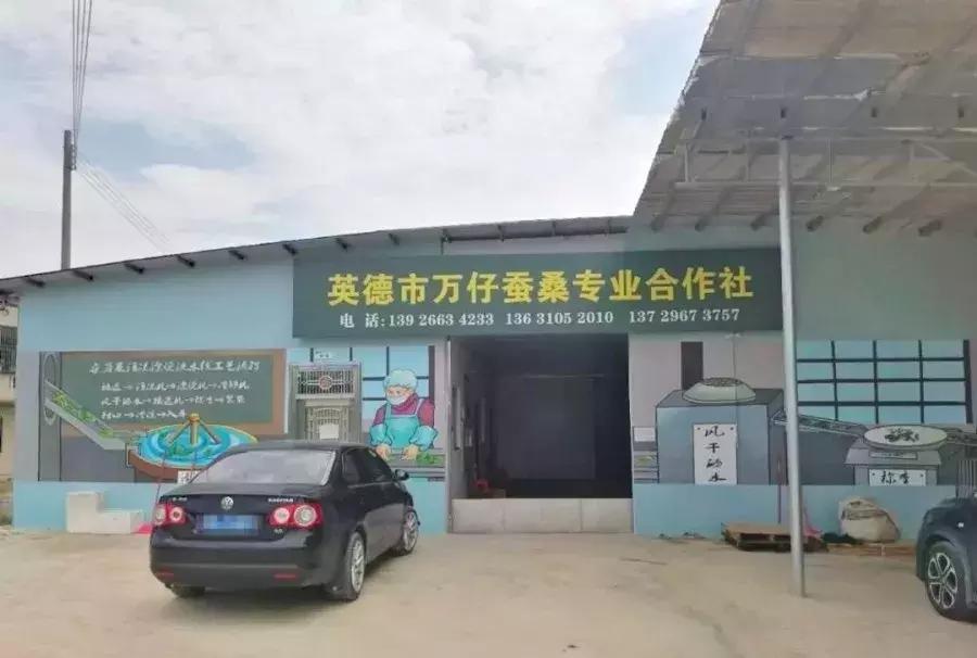 农村青年致富带头人总结,农村青年致富带头人计划开展情况