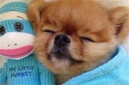 孩纸，妈就稀罕你这点，没人追，还能吹