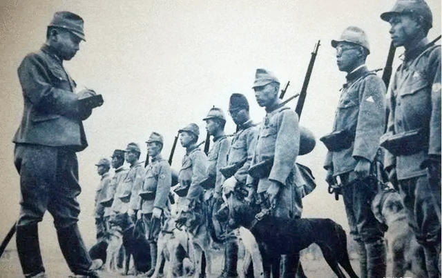 鬼子进森林扫荡遭八路埋伏,鬼子进入深山围剿八路