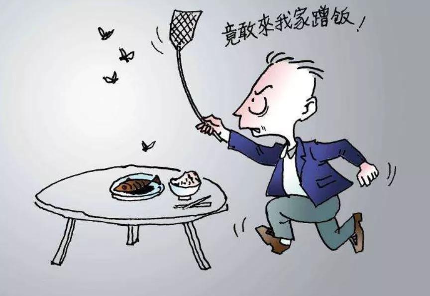 爱国卫生除四害宣传小知识,爱国卫生基本常识之除四害