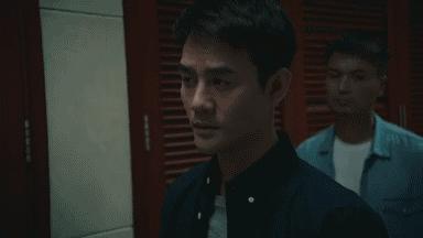 猎狐王凯刘奕君王柏林,猎狐刘奕君演王柏林