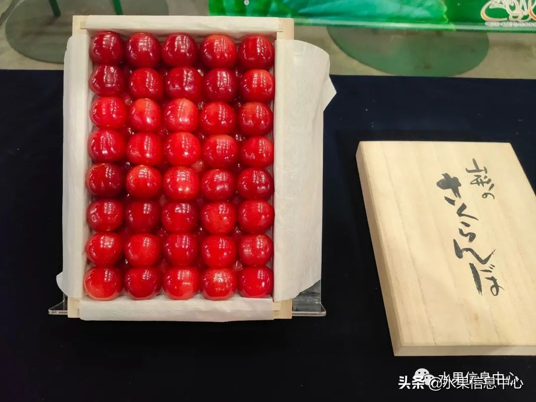 卖樱桃8块一斤十五块两斤的视频,一斤樱桃多少钱