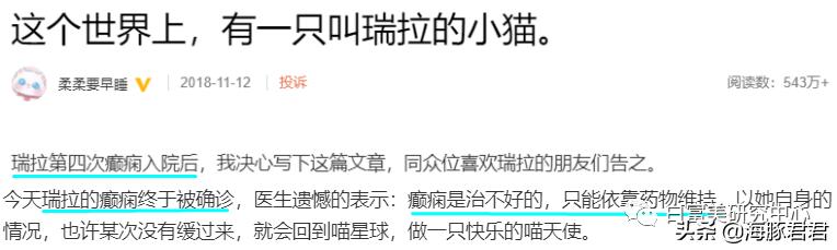 北京小公主靠吸猫血成百万大V，直播整容、大照骗、2年养死3只猫