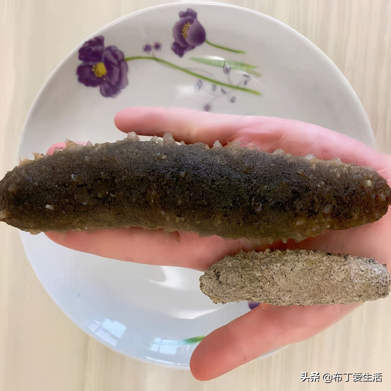 自己发海参的正确方法,海参的正确发制方法建议收藏