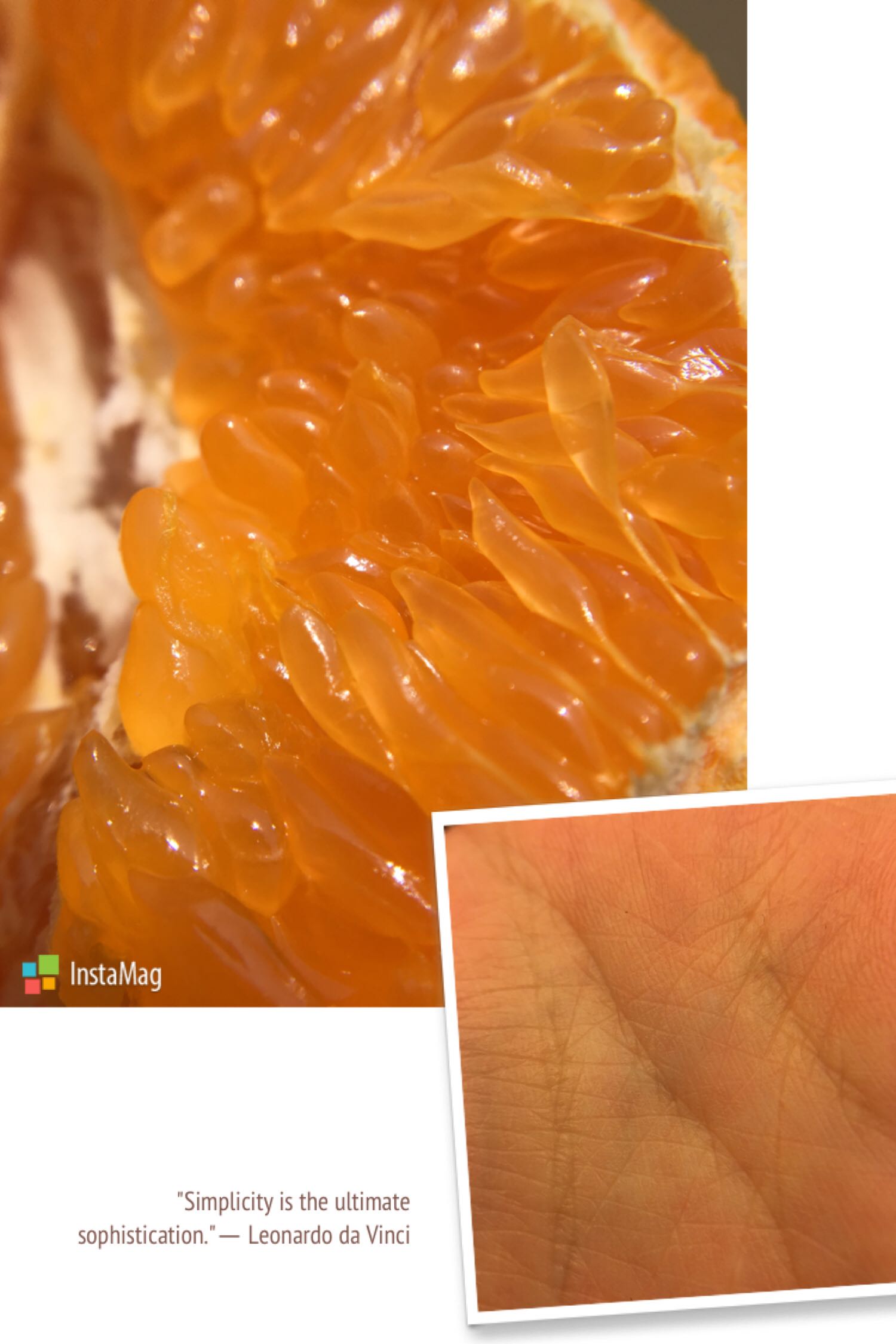 多功能手机自拍杆使用介绍,官方最新功能自拍杆