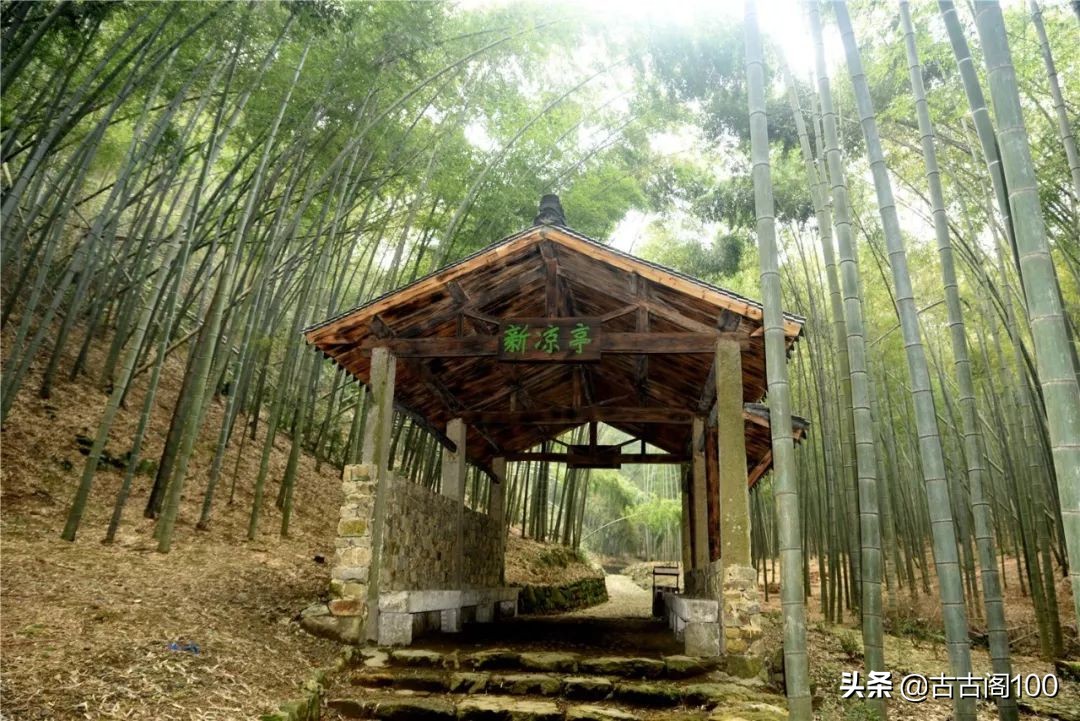 萧绍古道沿途风景,萧绍古道难爬吗