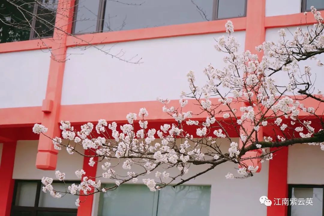 随笔在风华正茂的日子里迷途知返,随笔每一个孩子都值得期待