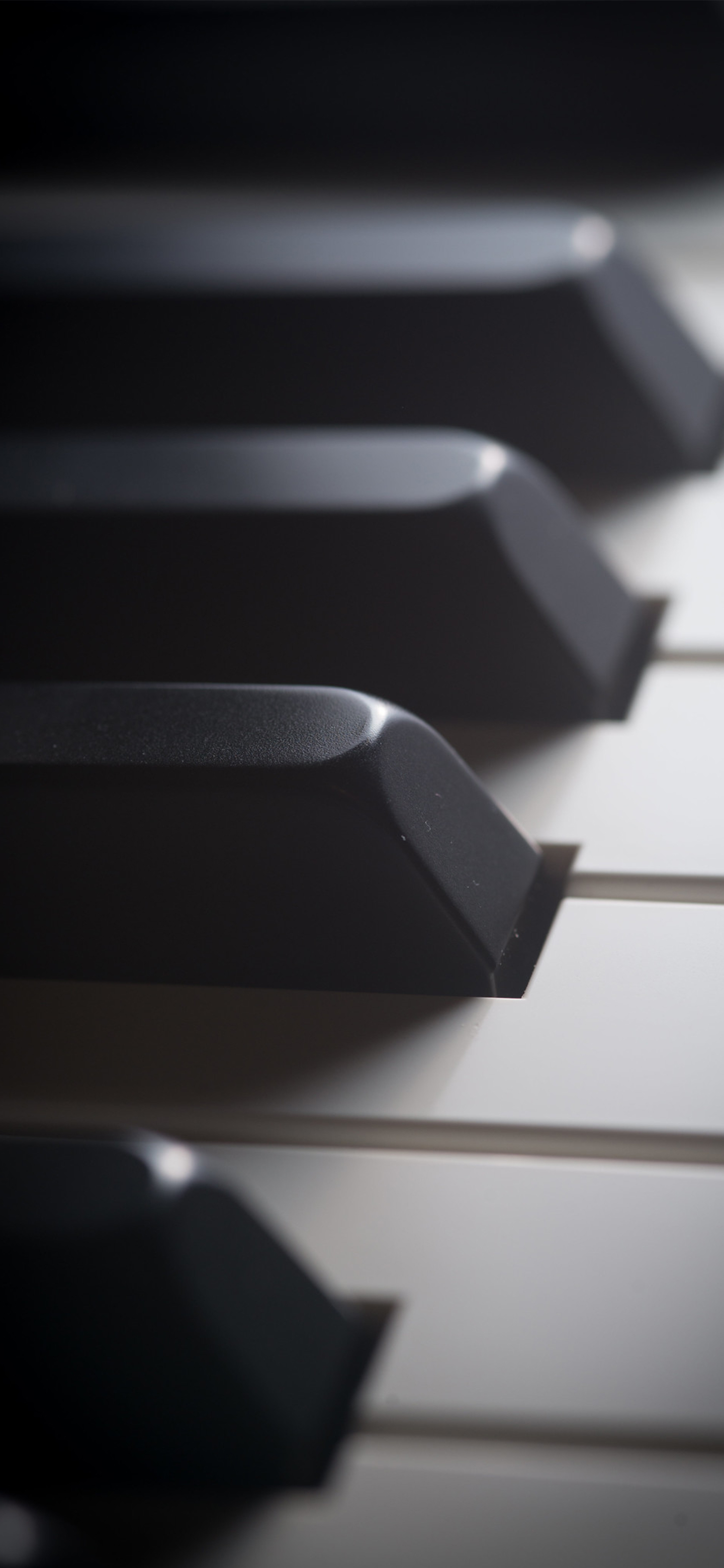 壁纸来了分享图,壁纸来了梵高