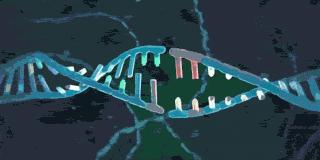 达尔文进化论的新物种形成,达尔文进化论为什么没有新物种