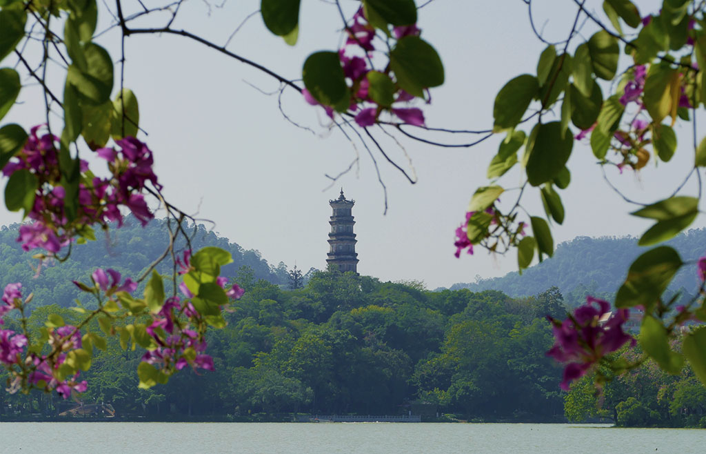 惠州西湖苏东坡小妾墓,惠州西湖和苏东坡有什么关系