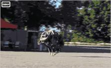 波士顿动力研发投入多少,波士顿动力公司展示机器人新技能