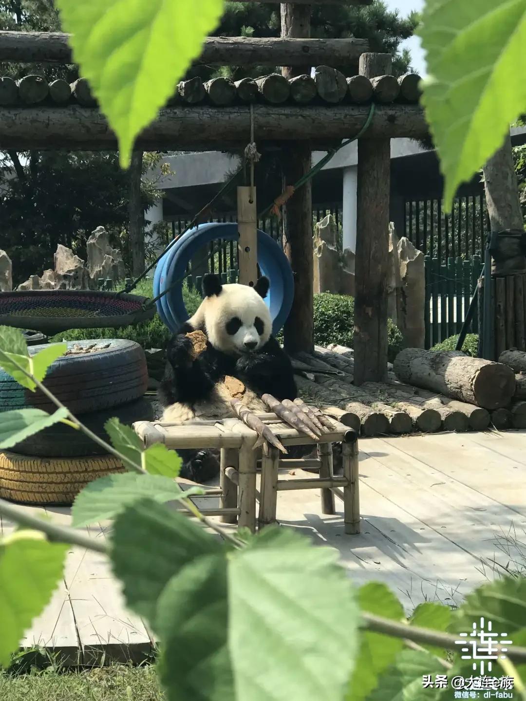 大连中秋节适合去哪里玩,中秋节大连游玩攻略