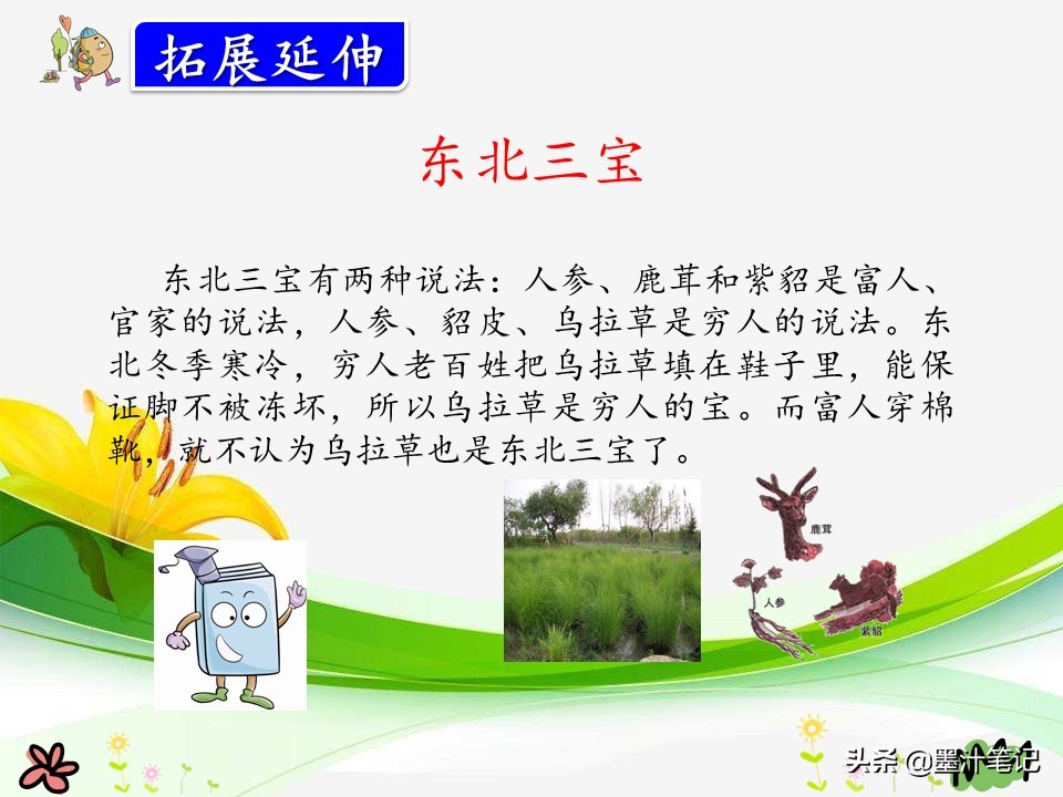 美丽的小兴安岭课文讲解人教版,三上语文美丽的小兴安岭课文讲解