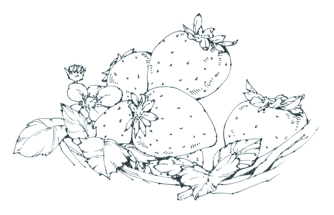 蓝莓味的章鱼小丸子,草莓章鱼小丸子口味