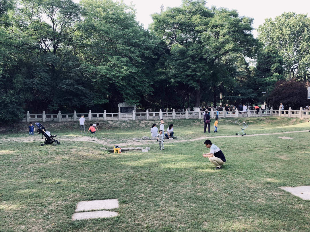 最美的西安兴庆公园,西安兴庆公园一道美丽的风景线