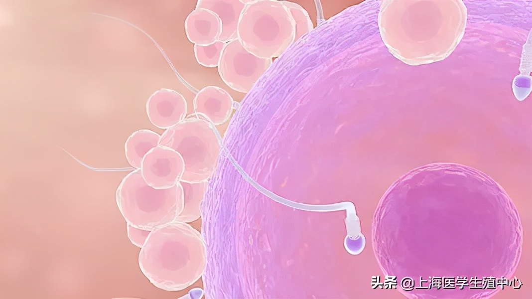 同样的促排卵方案，为啥你取出的卵子比别人少？