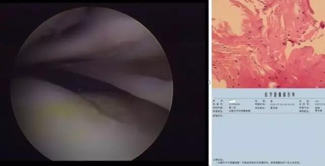 mri临床医师必读电子书,临床医生如何读mri