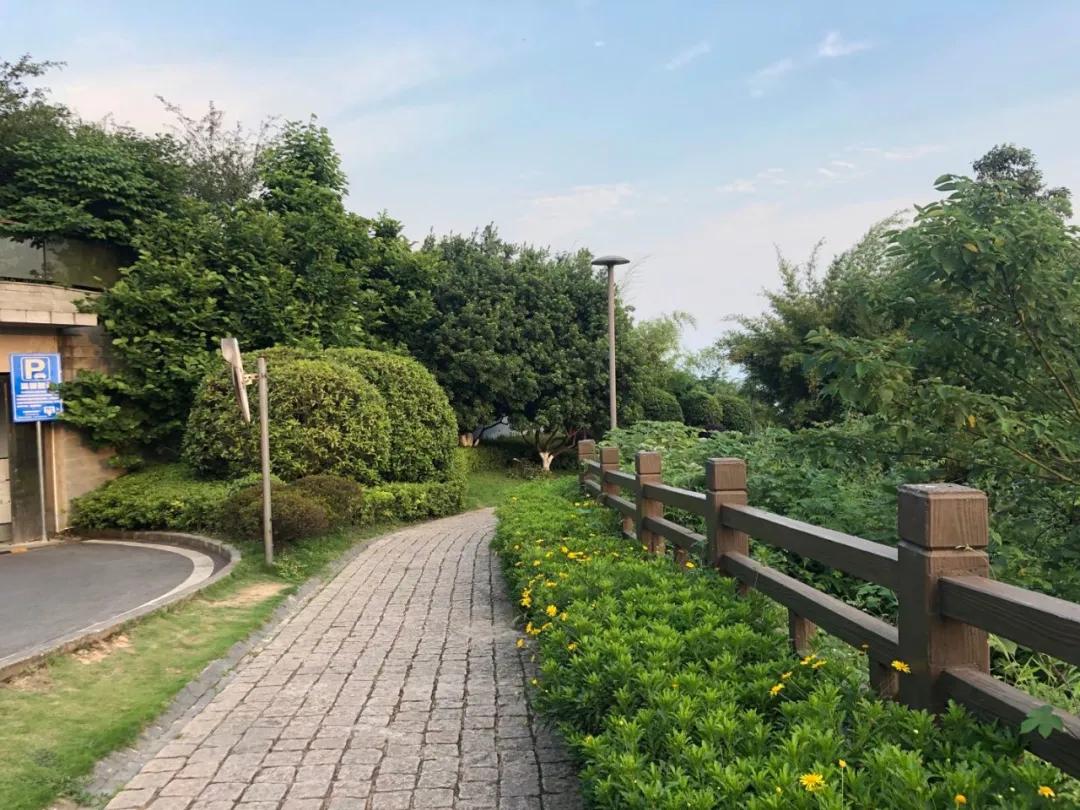 小长假比较适合自驾的山,小长假最强游玩攻略