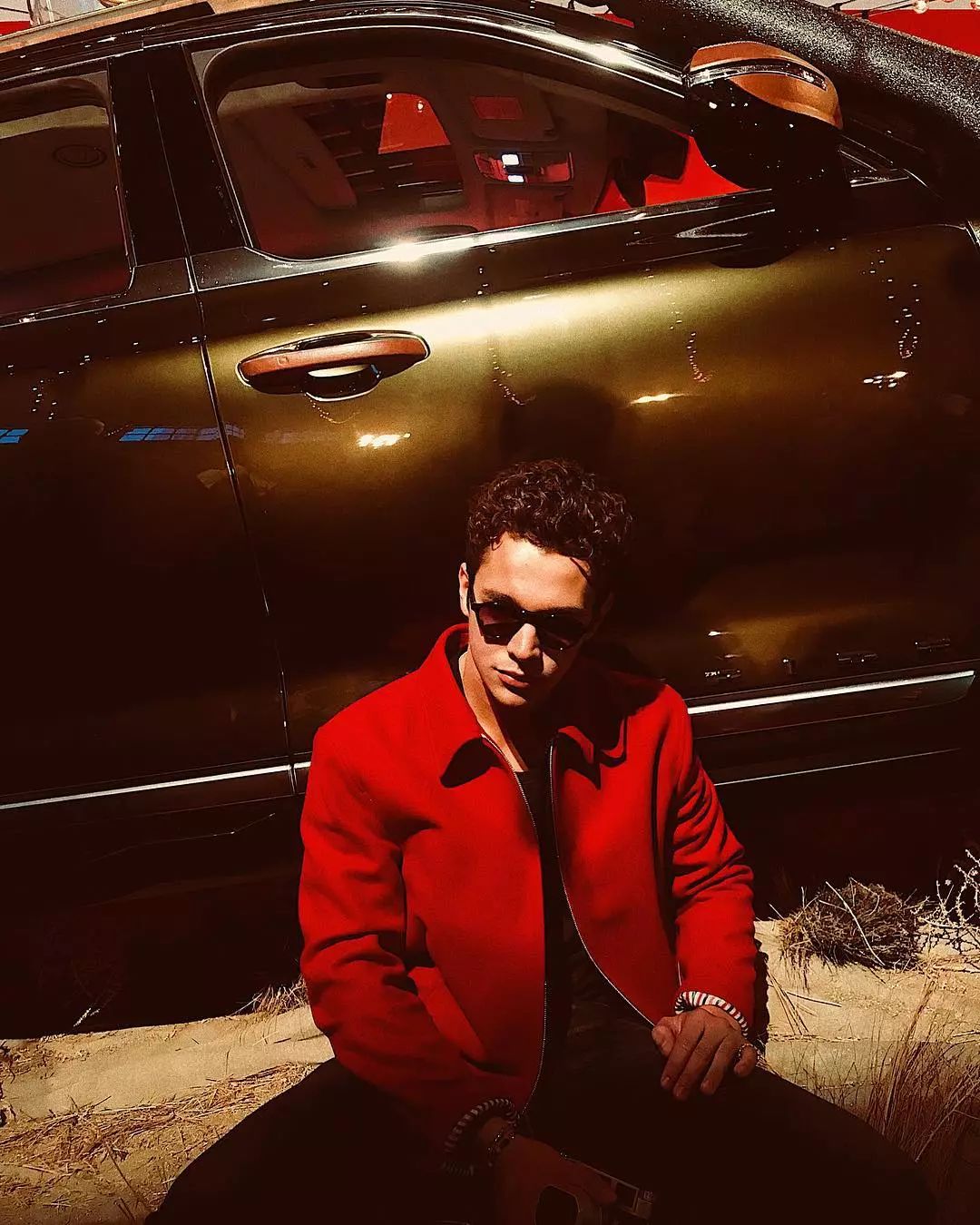 小奶狗抖音歌,抖音sendit歌曲