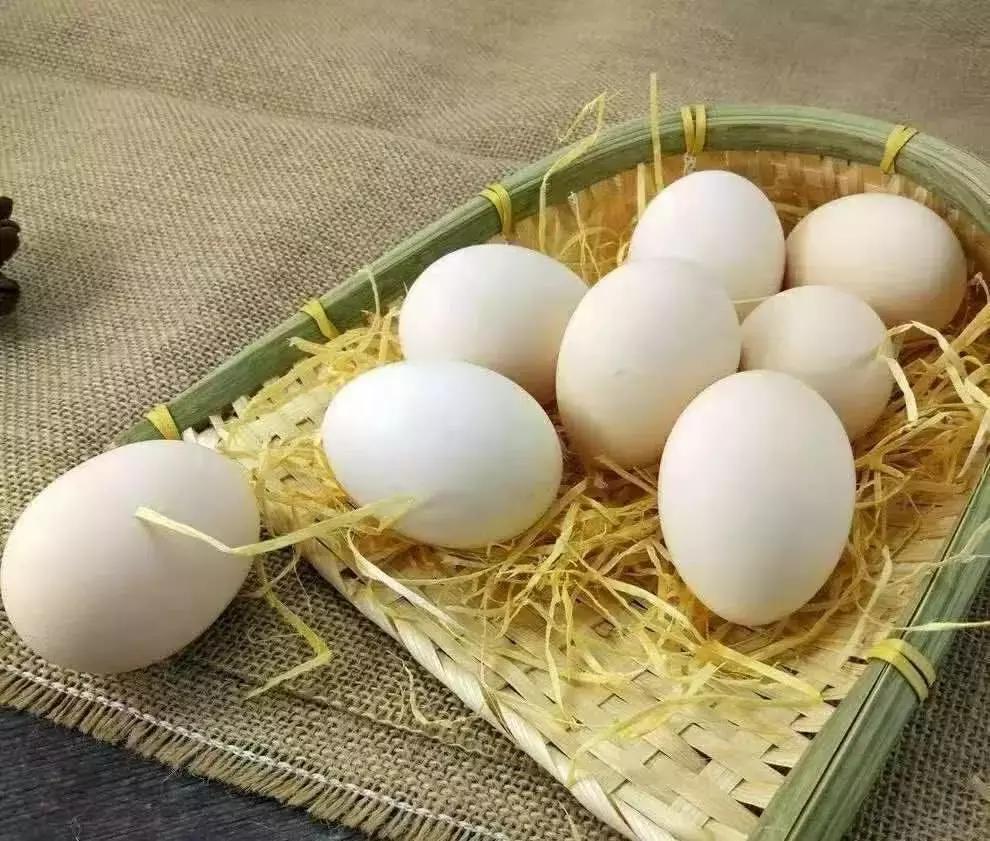 专家集体辟谣，大家别再相信了