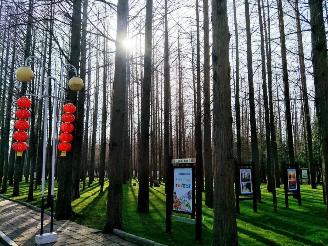 一卡通更新后需要办哪些,一卡通最新通知