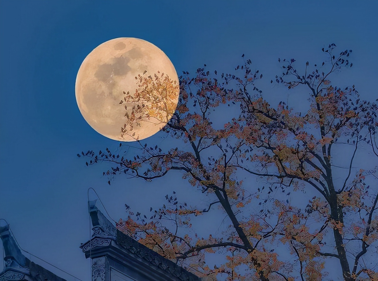 白居易写中秋节的名句,白居易对于中秋的诗