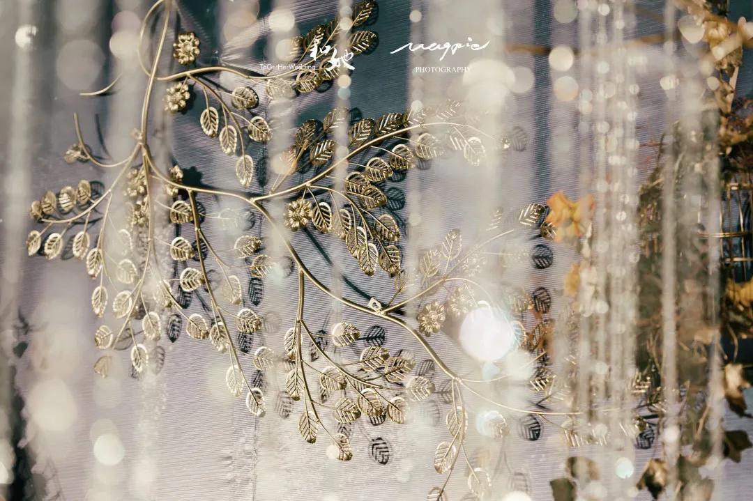 星空婚礼合集|你是我眼里的宇宙星河