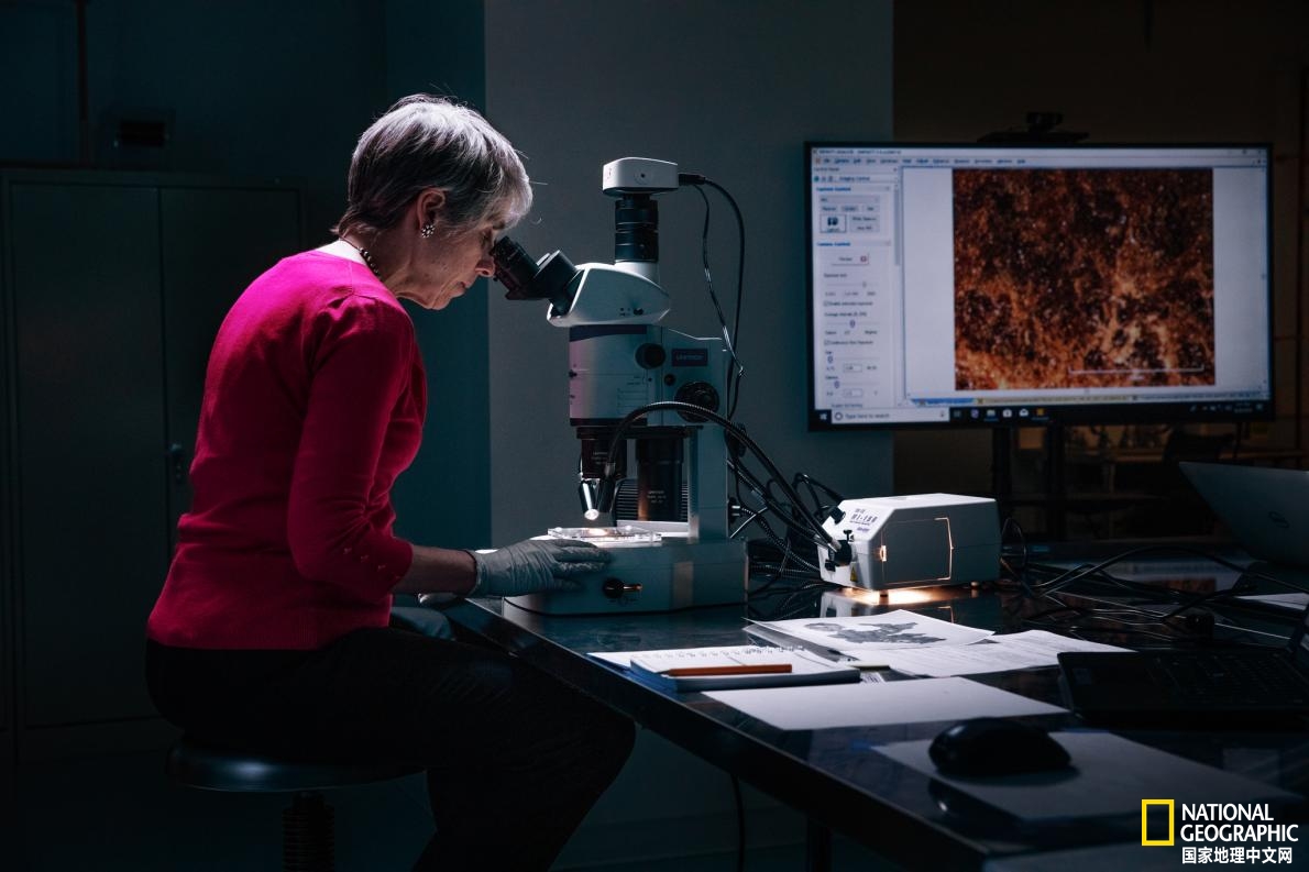 举世震惊！圣经博物馆的死海古卷全部为赝品