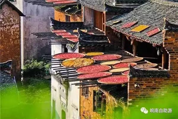 新安江山水画廊景区打卡景点,新安江山水画廊景区九砂晒秋节