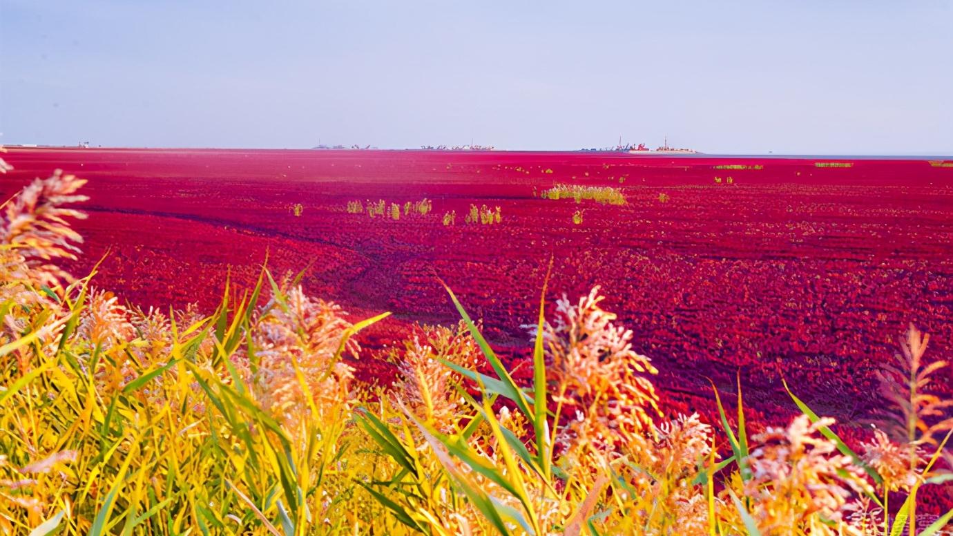 辽宁省盘锦市所辖区有哪些,辽宁省盘锦市有哪几个区