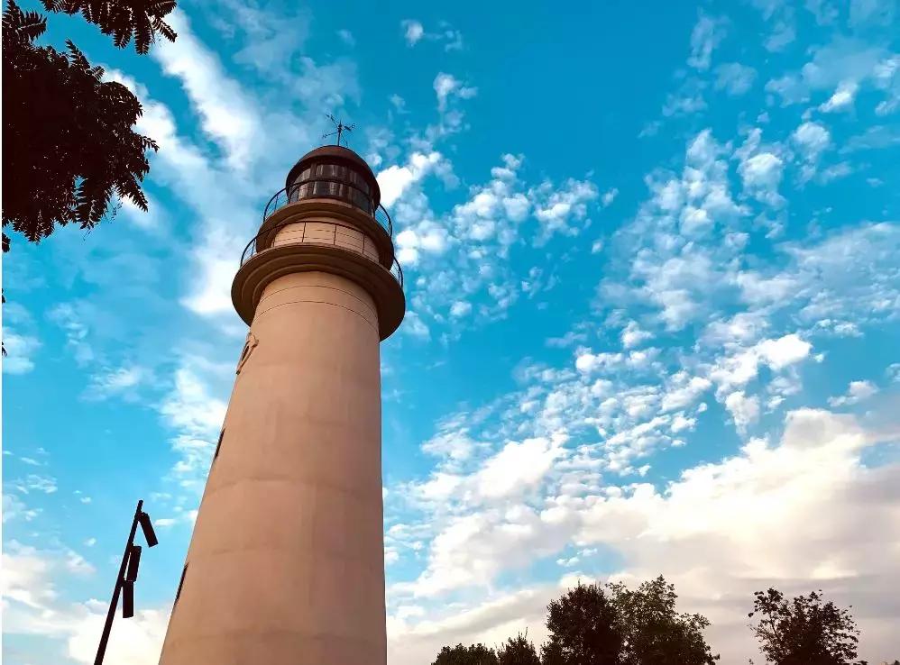 重庆主城区哪里有花海,重庆区县花海景点大全