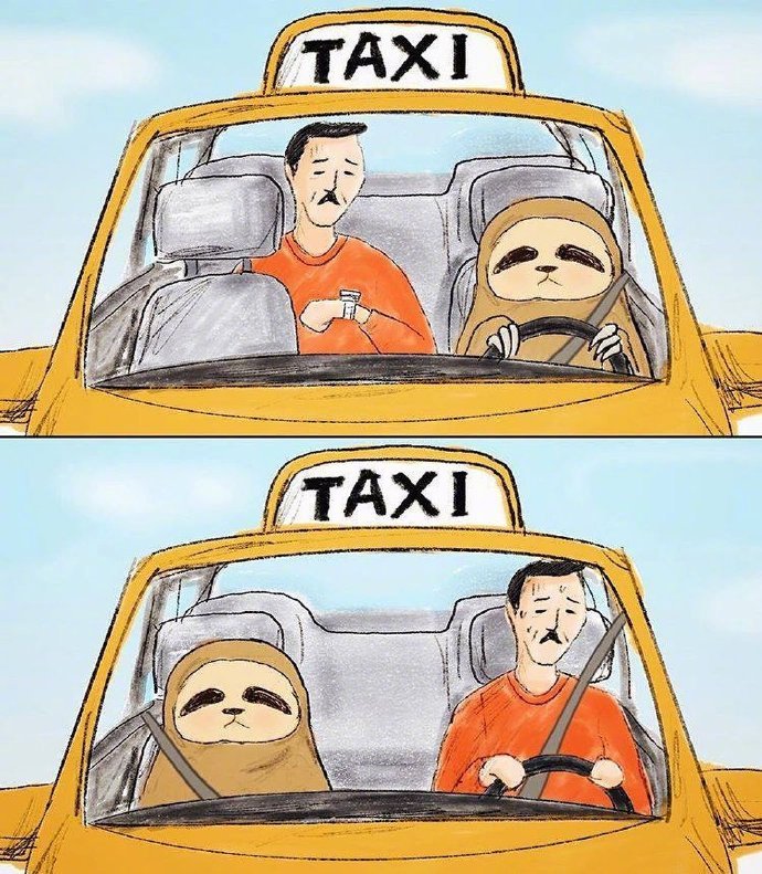 树懒先生的漫画,树懒先生漫画免费