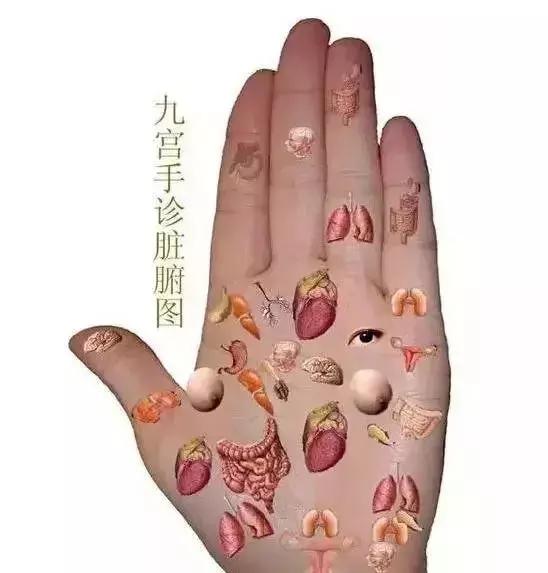 核桃手串一直盘玩还会生虫吗,把玩核桃手串要怎么盘