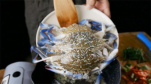 南澳岛渔民捕捞视频,南澳岛渔船捕捞