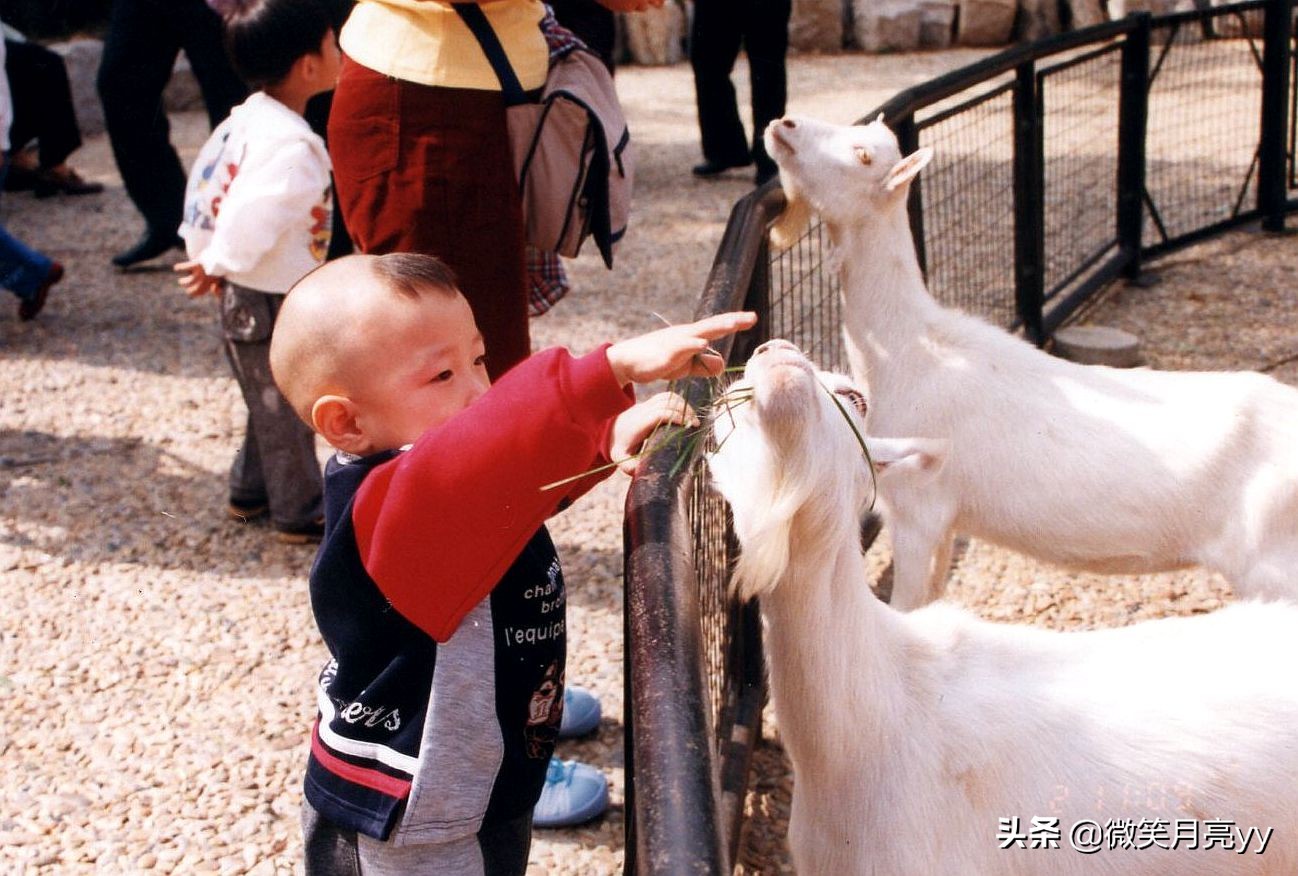 散文丨想念有你相伴的日子