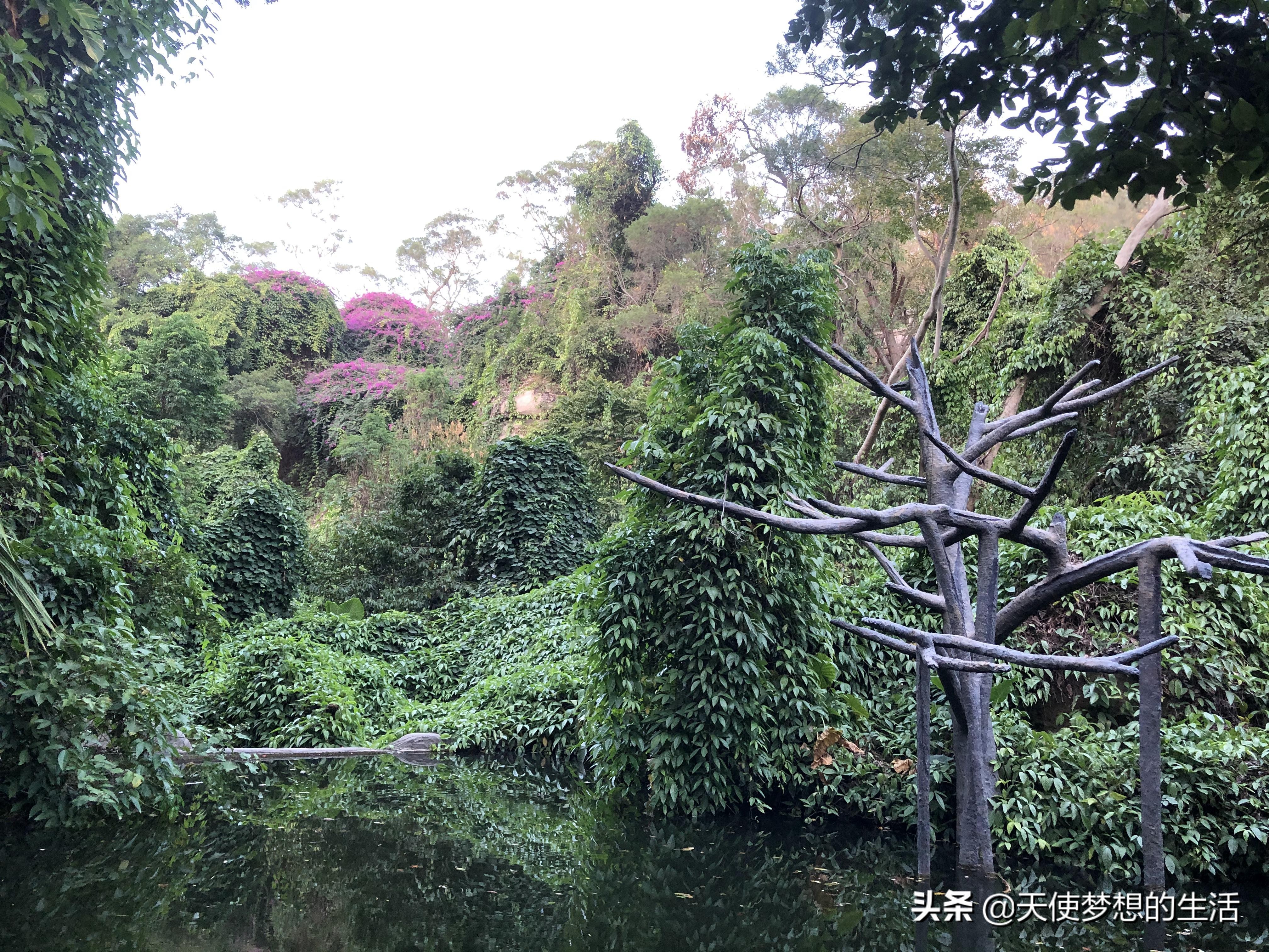厦门白沙滩,厦门的碧水蓝天