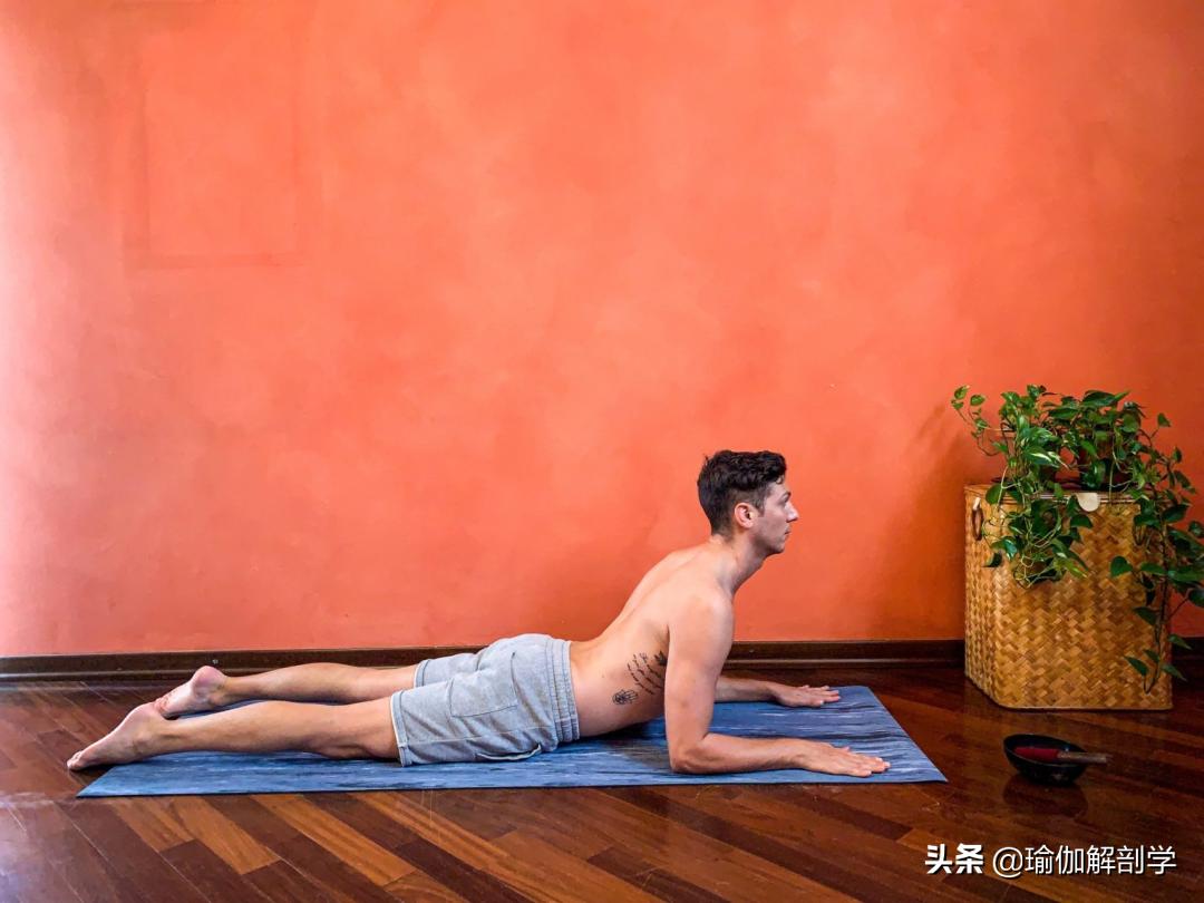 男士初学瑜伽从零开始,男士练瑜伽从零开始