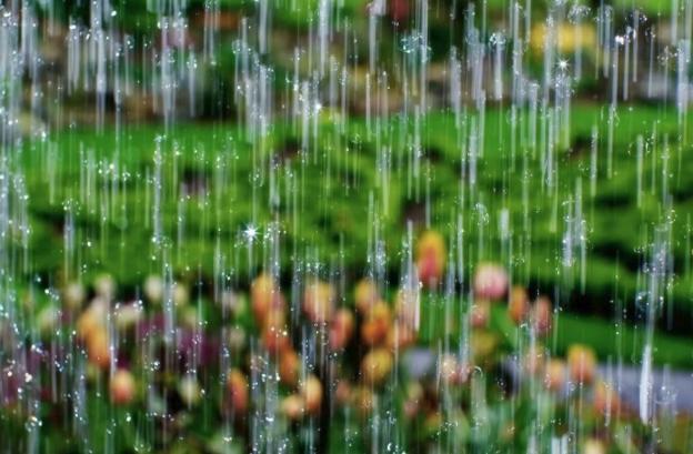 二十四节气小暑绘画教程,二十四节气小暑至盛夏始