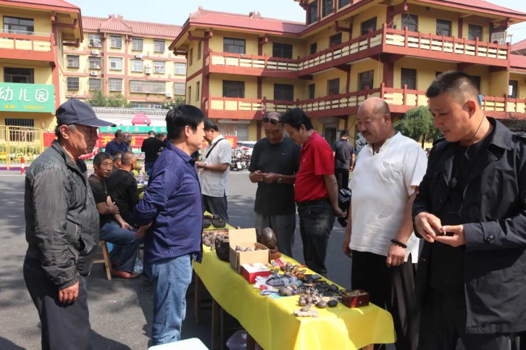 淄博陨石展在哪里开展,2022年临淄陨石展什么时间