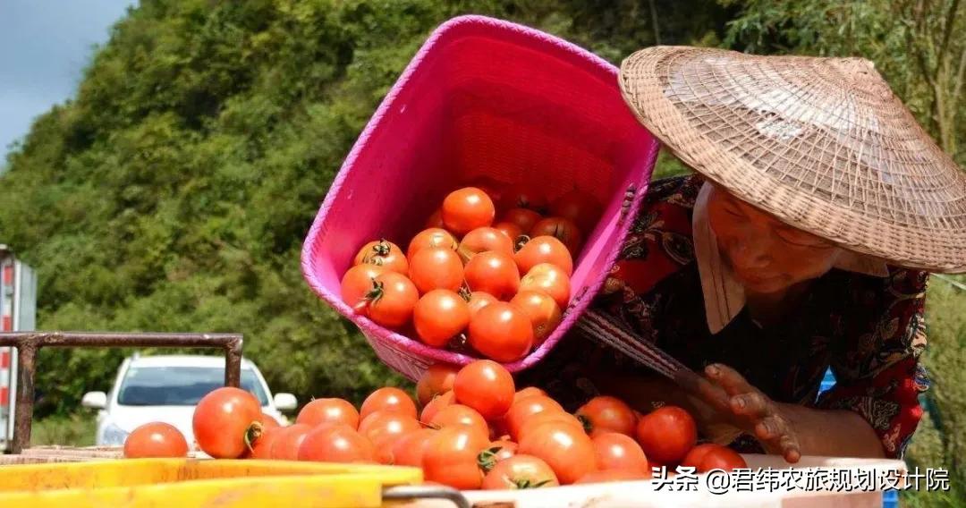 2023重点扶持的农业项目的特点,国家特点农业扶持政策有哪些