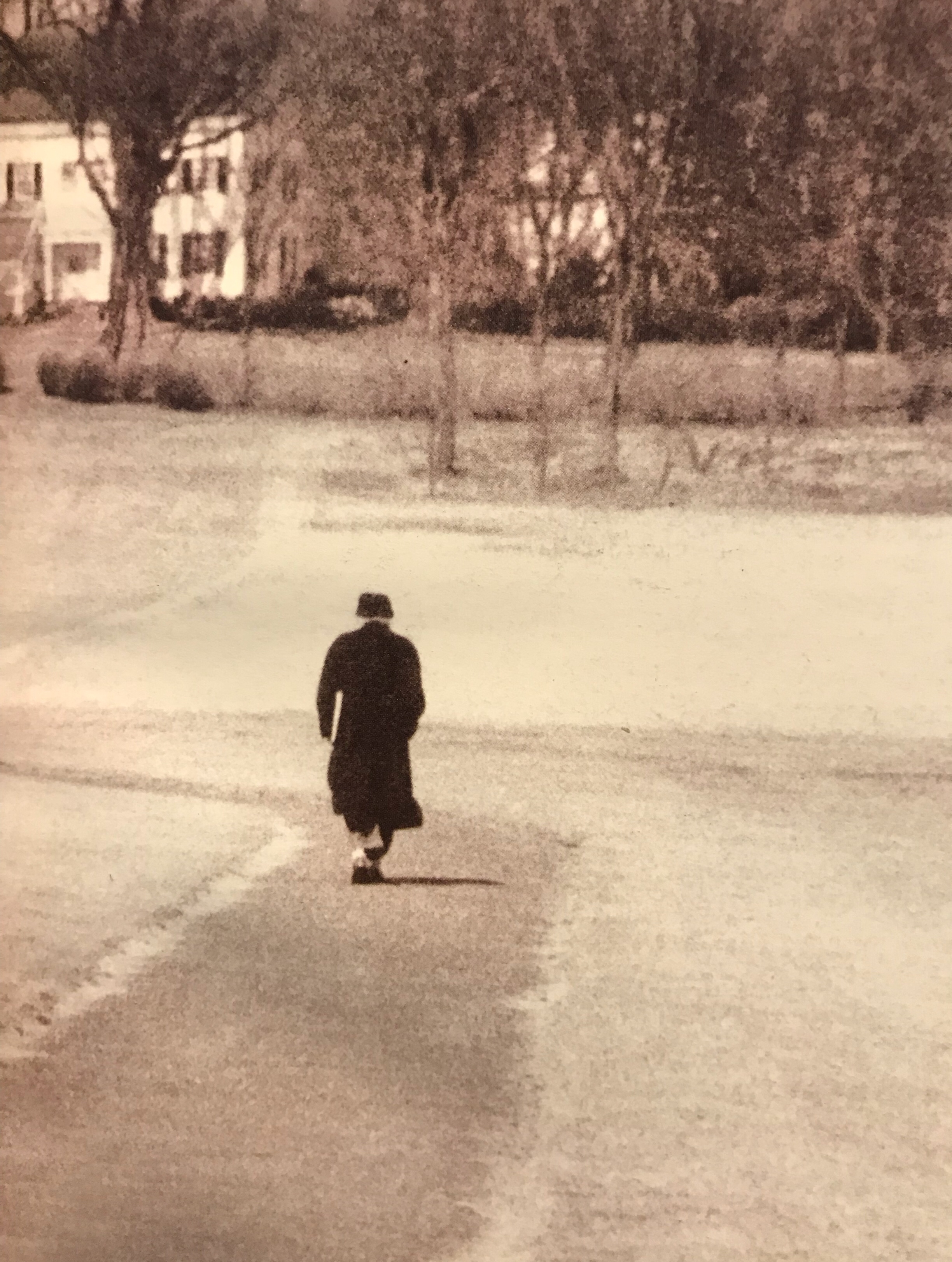 爱因斯坦去世后大脑被人类解剖,爱因斯坦去世后偷走他大脑的人