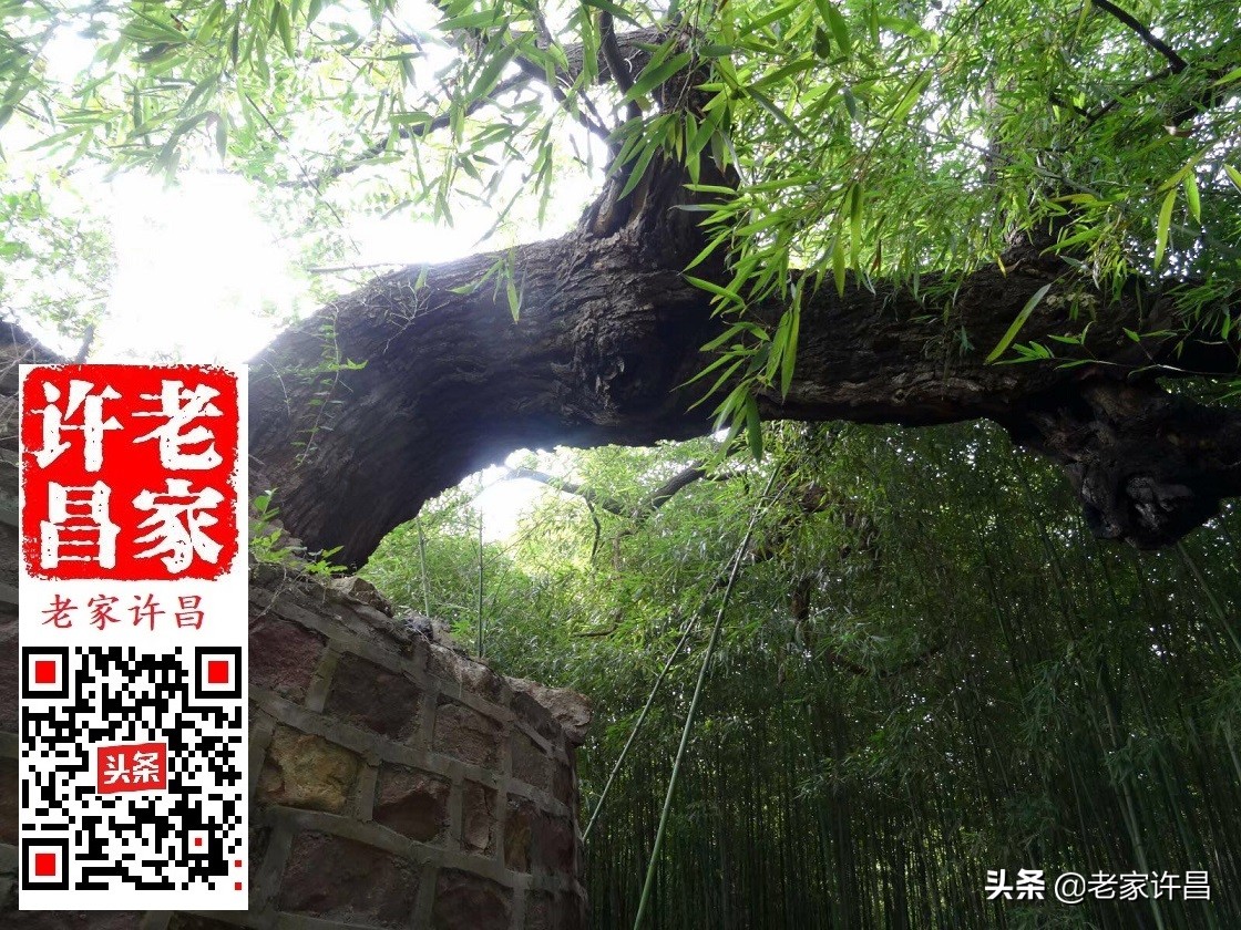 一个人行走在神秘的古建筑里,一个人行走在神秘的古建筑