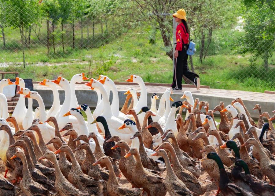 兰州新区三月游,五一兰州新区游